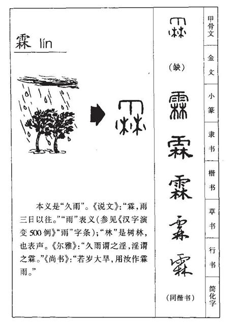 霖 五行|【霖字五行】霖字五行是什麼？一文揭曉霖字深層含義